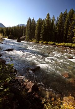 Maligne River in Jasper National Park