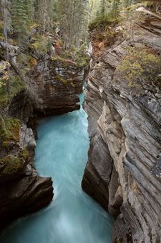 Gorge at Athabasca Falls in Jasper National Park