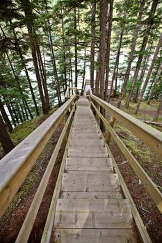 Wooden stairs  and viewpoint at Kitsumkalum Provincial Park