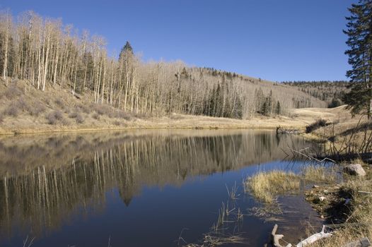 beautiful tranquil mountain Lake in New Mexico with reflection of the tree lined bank in the awter