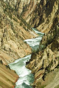 Gorge of the yellowstone river in Yellowstone National Park, Wyoming