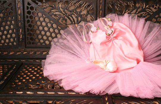 Pink Ballet costume and miniature shoe on a rustic background
