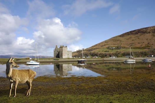 Castle ruins at Lochranza on the isle of Arran in Scotland