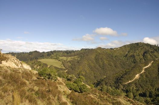 moonrising over the native bush on a private block near Wanganui, North Island, New Zealand. This old native Beech and Punga forest and manuka bush with an old logging road on the right, is home to introduced species such as wild pig, fallow deer, rabbits, wild goats, Australian possums and to the indigenous Kiwi .