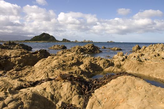 Rugged coastline at the Southern tip of the North island of New Zealand