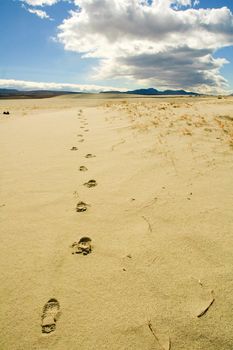 footprints in the sand leading across Death Valley