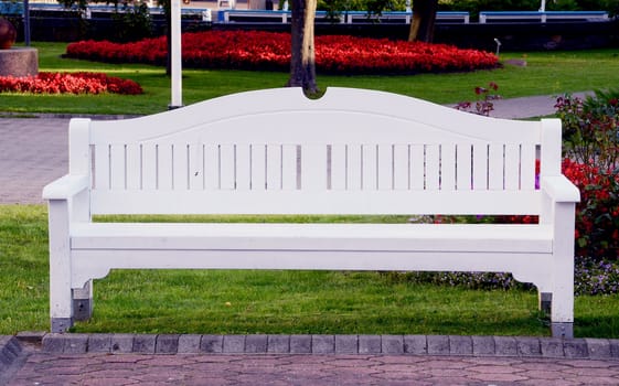 White bench in the park for recreation among the spectacular flowers.