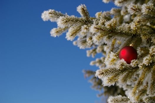 red bauble christmas ball ornament outside in a snowy winter scene