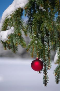 a red bauble in a winter landscape