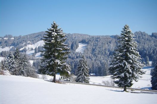 beautiful snowy winter landscape at Christmas time...