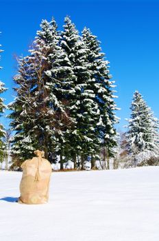 A bag from Santa Claus in a snowy landscape