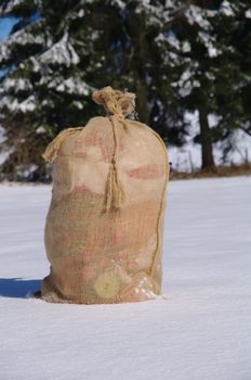 A bag from Santa Claus in a snowy landscape