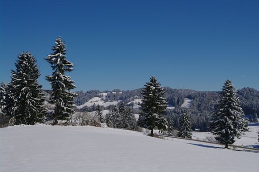 beautiful snowy winter landscape at Christmas time...