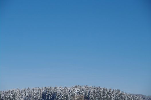 beautiful snowy winter landscape at Christmas time...