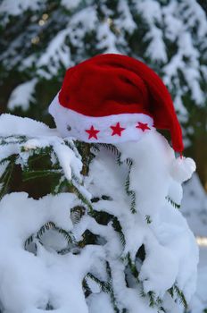 red santa claus hats in a snowy landscape