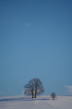 beautiful snowy winter landscape at Christmas time...