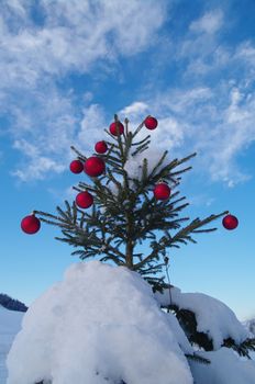 baubles  on a Christmas tree outside in a snowy landscape