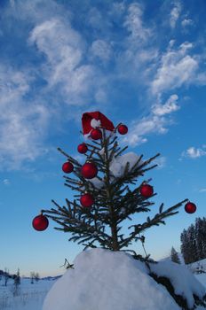 baubles  on a Christmas tree outside in a snowy landscape