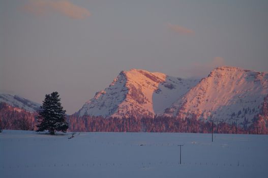 beautiful snowy winter landscape at Christmas time