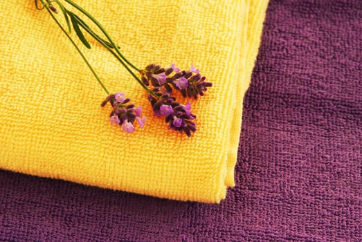 purple and yellow towels with lavender flowers