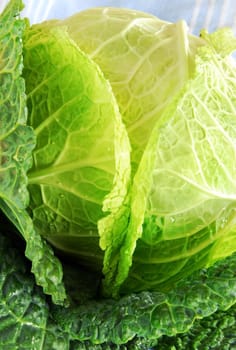 one green fresh appetizing organic savoy cabbage