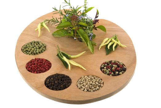 Spice and herb palette ready for the master chef to create new culinary delights. (variety of peppercorns and herbs on artist's palette)