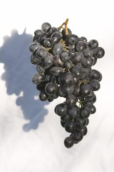 close up of fresh and ripe bunch of grapes
