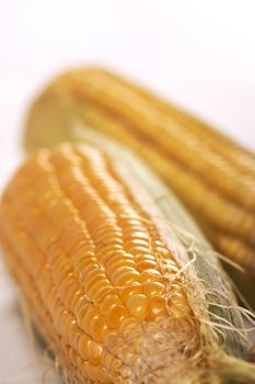 corn
