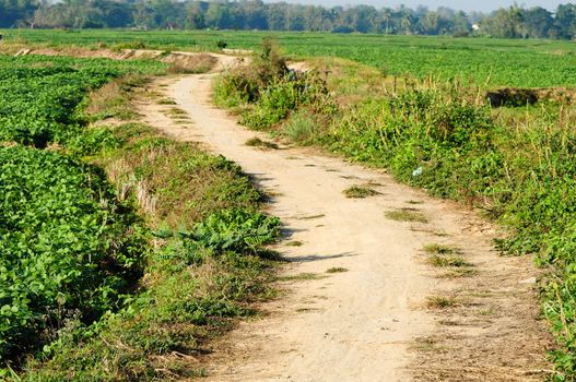 road in rural thailand