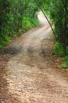 country road