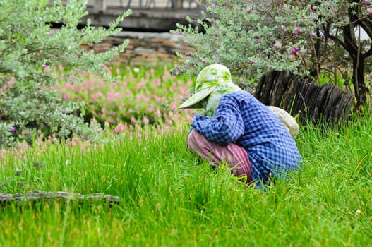farmer working in the field