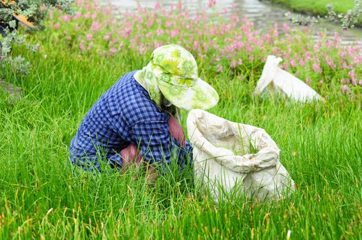 farmer working in the field