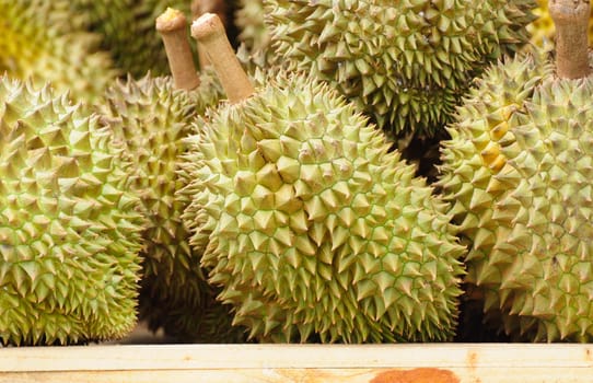 Durians at market