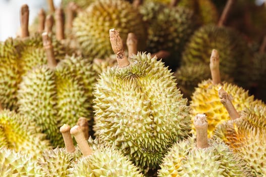 Durians at market