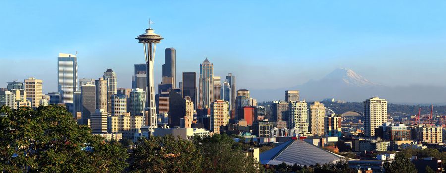 The Seattle skyline from Kerry park in Queen Anne district. 







Seattle skyline panorama at sunset.