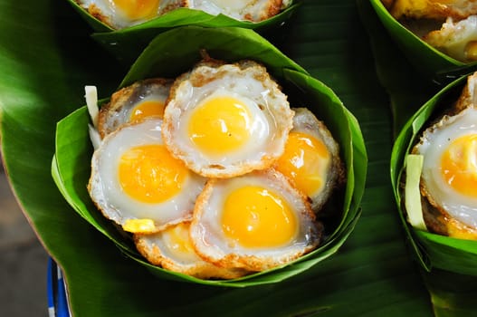 fried eggs