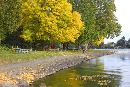 Autumn a changing season of colors in a park.