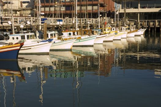 Fishing fleet at harbor in San Francisco