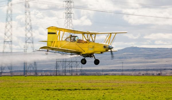 crop duster spraying insecticide on crops in central California