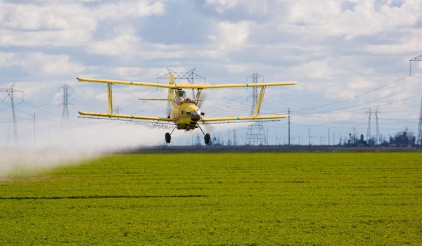 crop duster spraying insecticide on crops in central California