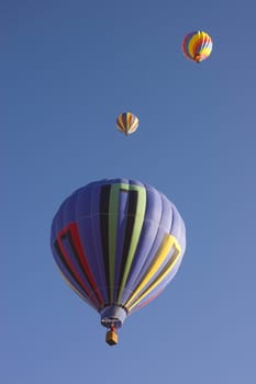 Some of the many balloons at the Taos balloon festival rising at dawn