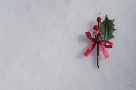 holly berry on a real snowy icy surface