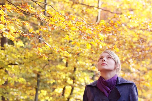 Beautiful young woman in autumn forest