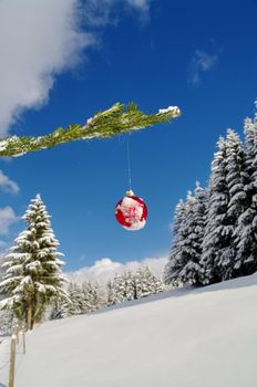 a red bauble in a winter landscape