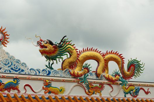 Chinese Golden Dragon