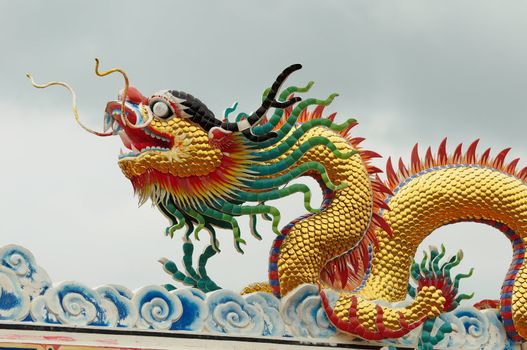 Chinese Golden Dragon