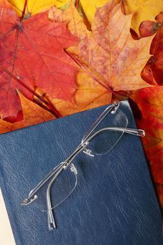Old book and glasses laying on autumn maple leafs