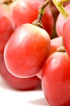 Ripe grapes isolated over white back ground