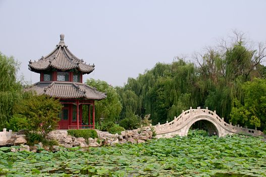 The panorama of lotus pond, garden with pavilion