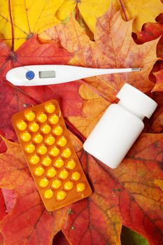 Digital thermometer and drugs laying group autumn orange leaves